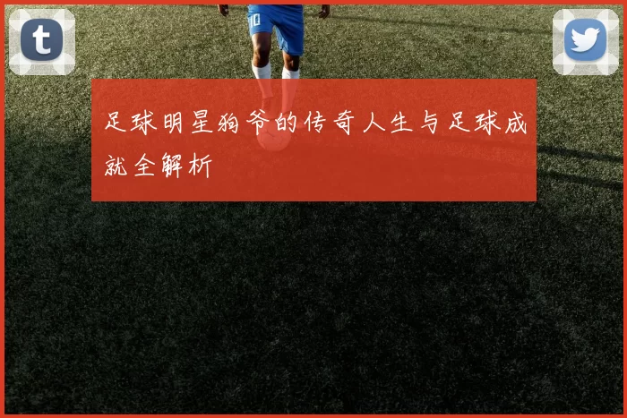 足球明星狗爷的传奇人生与足球成就全解析