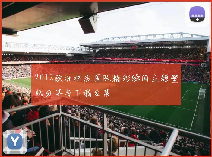 2012欧洲杯法国队精彩瞬间主题壁纸分享与下载合集