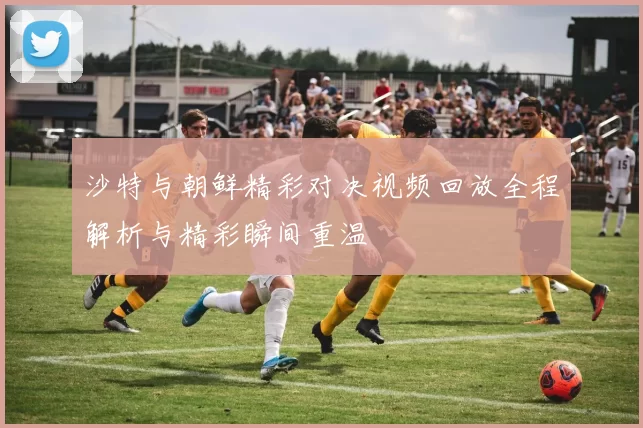 沙特与朝鲜精彩对决视频回放全程解析与精彩瞬间重温